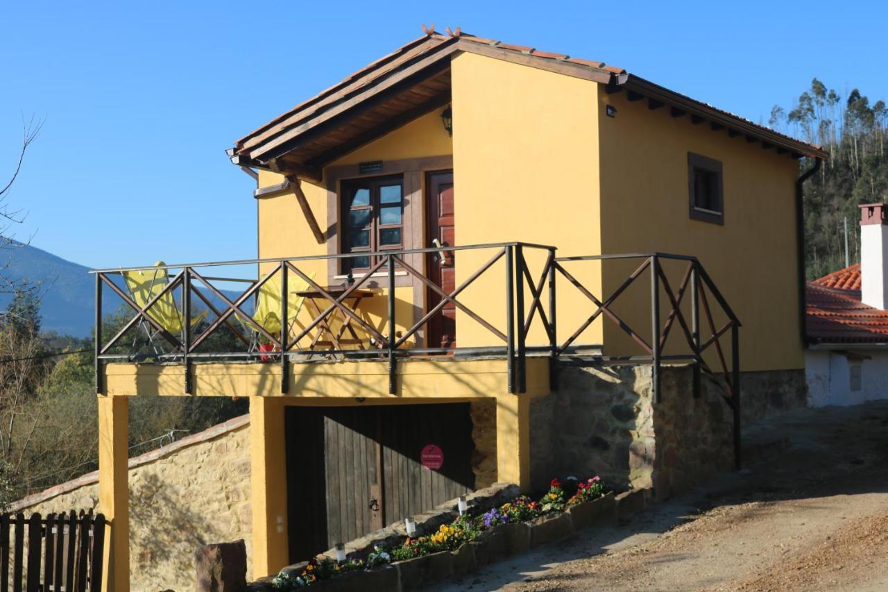 Palheiro Do Malgas Bed & Breakfast Lousã Exterior photo